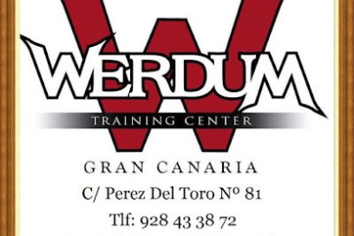 Realiza tu entrenamiento de Muay Thai en el gimnasio Werdum Training Center