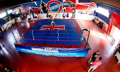 Entrena Muay Thai en el gimnasio Club De Boxeo Evolution Elche